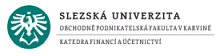 Uivatel finann analzy Slezsk univerzita